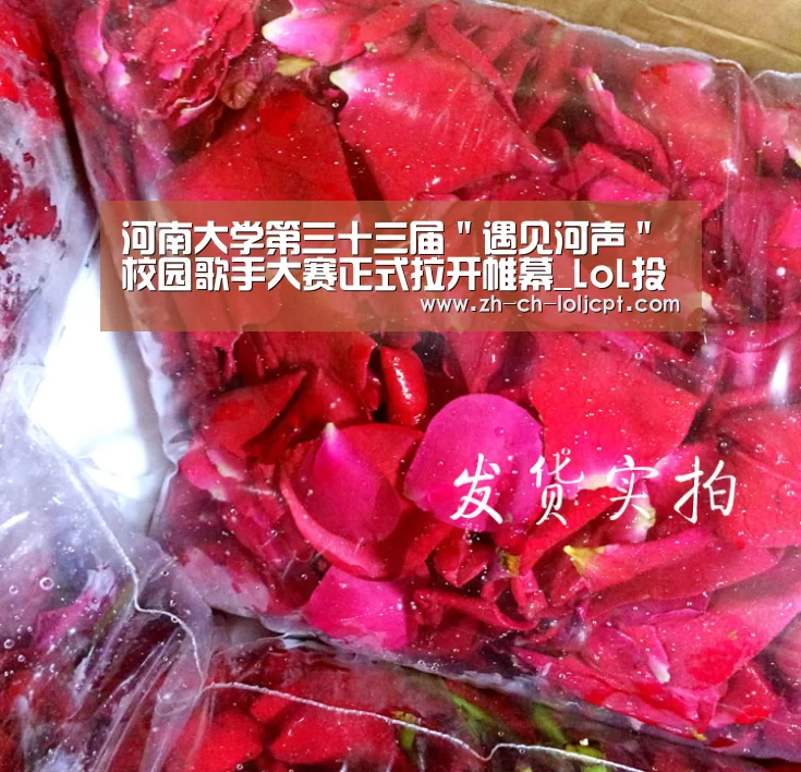 河南大学第三十三届"遇见河声"校园歌手大赛正式拉开帷幕_LoL投注网站 (图3) LoL投注网站