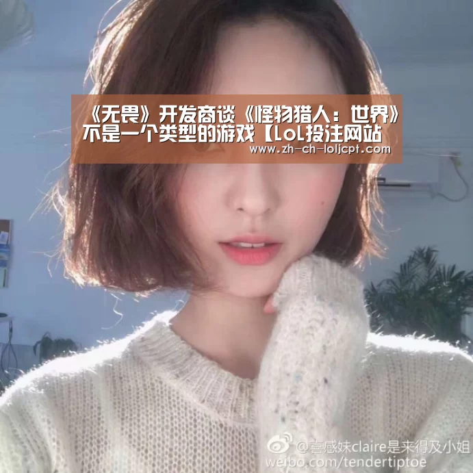 《无畏》开发商谈《怪物猎人：世界》不是一